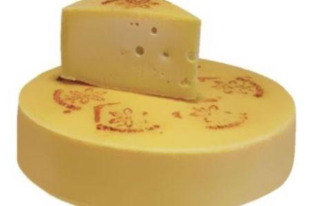 پنیر شیر الاغ