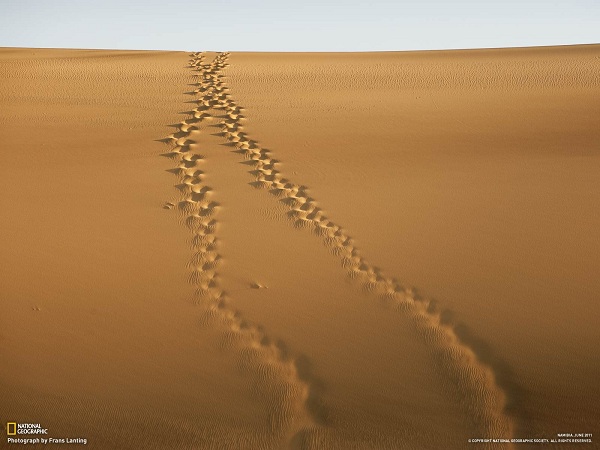 از نشنال جئوگرافیک(عکس)