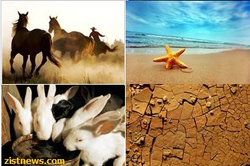 آرشیو تصاویر طبیعت