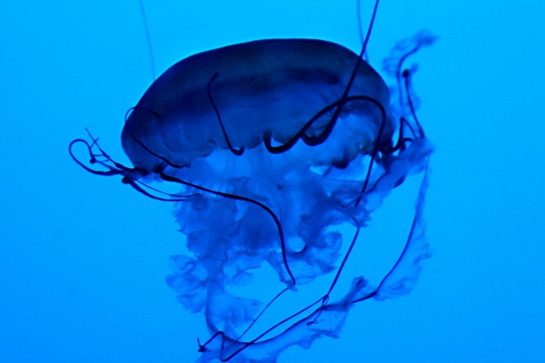 این تصاویر زیبا را ببینید!