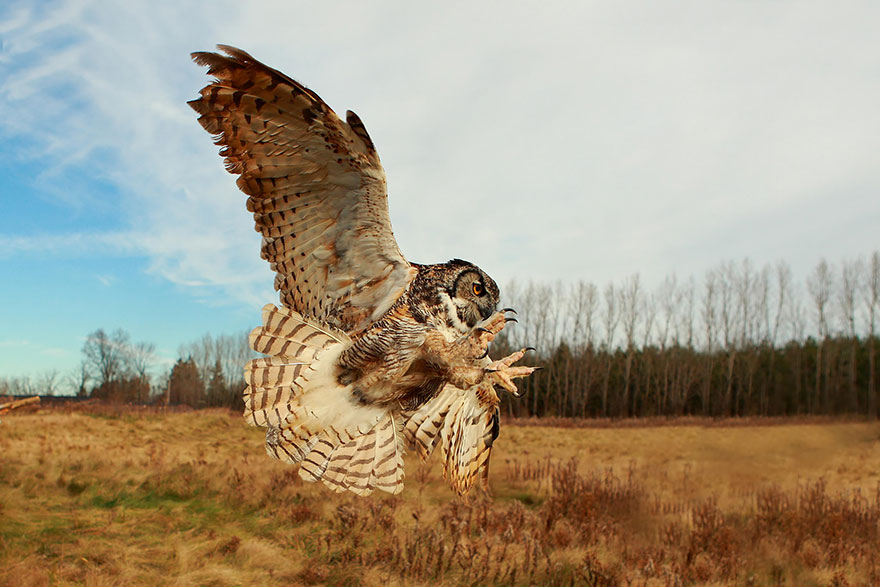 شکارچی خاص!(عکس)