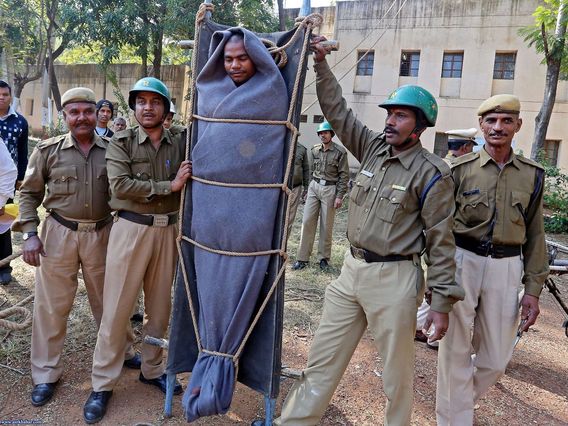 عجیب ترین تصاویر سال 2014