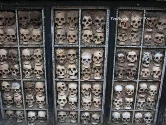 دیوارهای اسکلتی (+عکس)