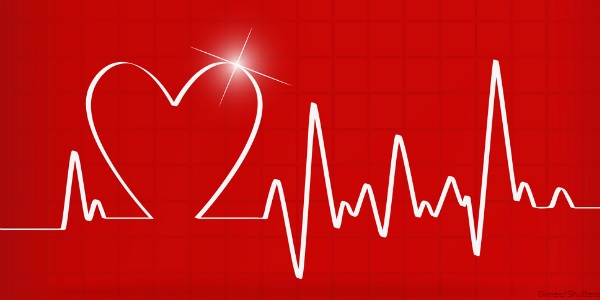 ذخیره 1600 قلب انسان در رایانه ذخیره 1600 قلب انسان در رایانه