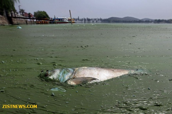 وضعیت محیط زیست در چین(+عکس) وضعیت محیط زیست در چین(+عکس)