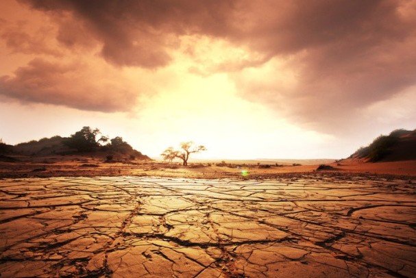 کشف رابطه عجیب اوضاع جوی و تکامل زبان در انسان کشف رابطه عجیب اوضاع جوی و تکامل زبان در انسان