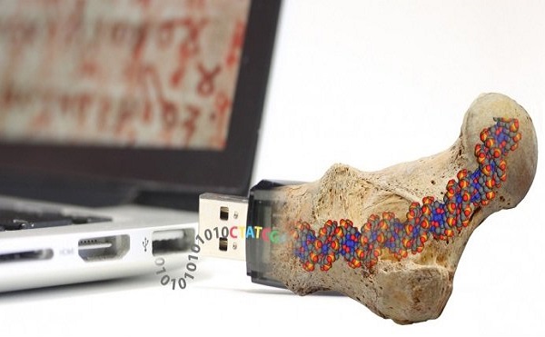 ذخیره همیشگی اطلاعات به کمک دیانای ذخیره همیشگی اطلاعات به کمک دیانای