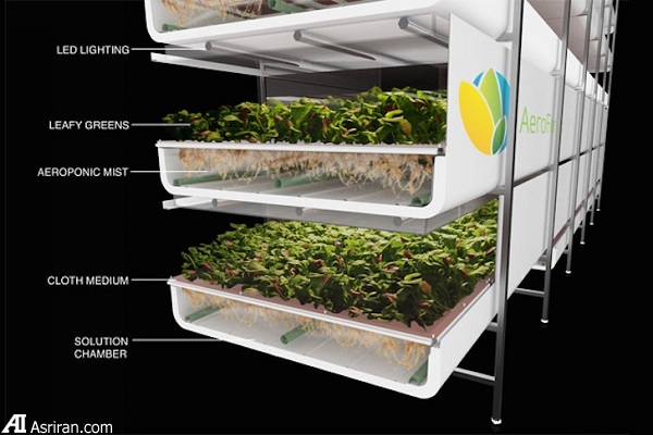 ساخت بزرگترین مزرعه عمودی مسقف جهان در نیوآرک ساخت بزرگترین مزرعه عمودی مسقف جهان در نیوآرک