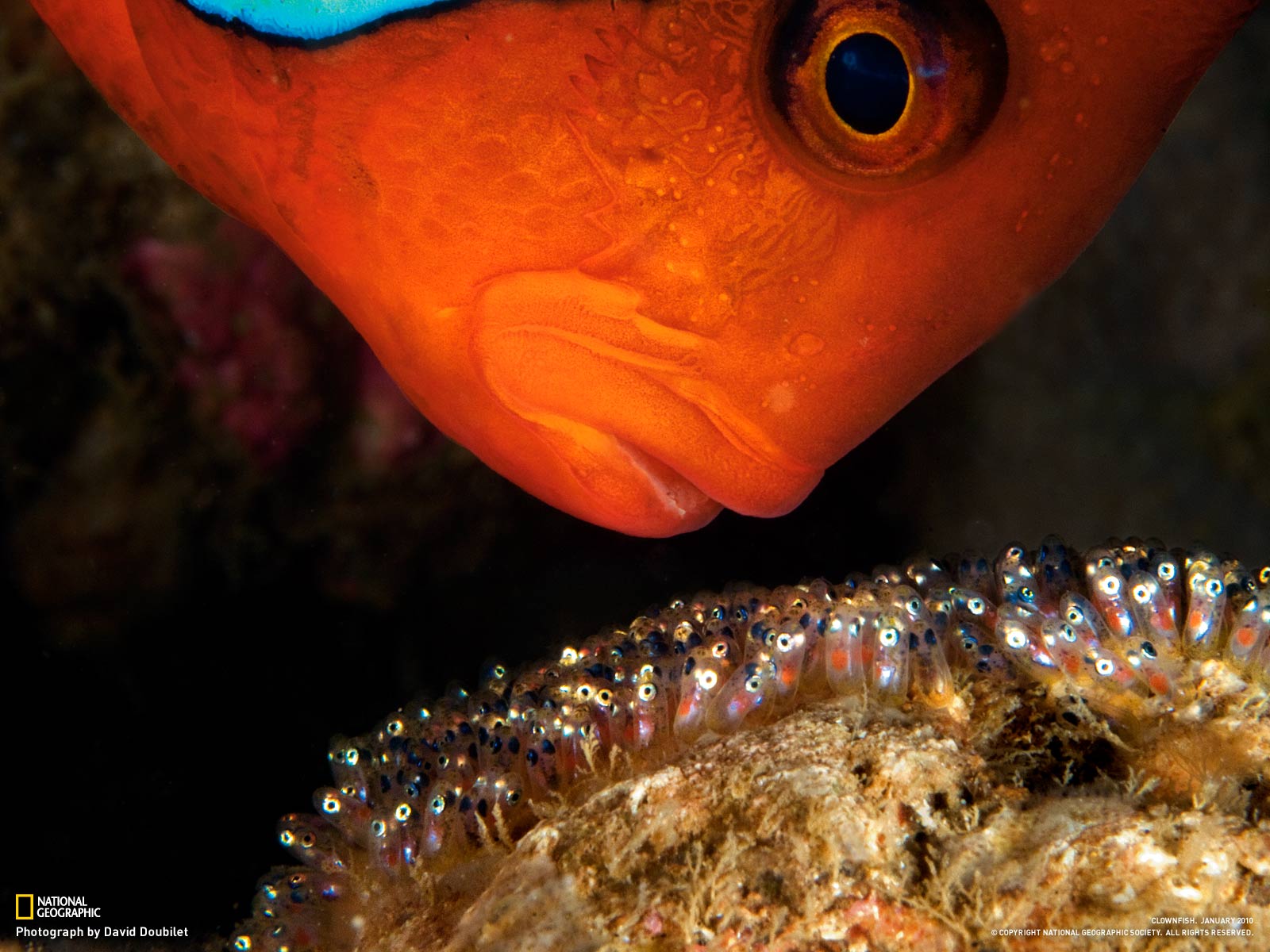 دنیای حیوانات(عکس)