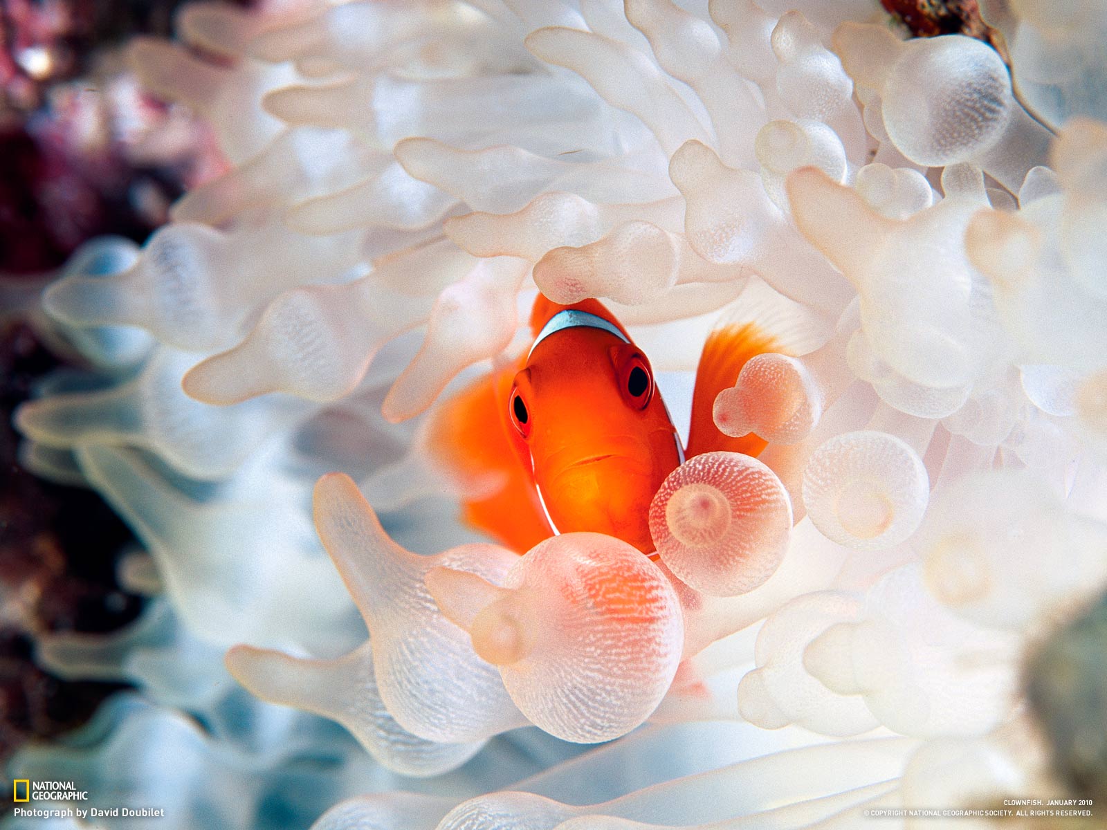 دنیای حیوانات(عکس)