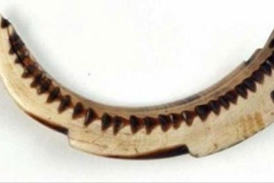 قدیمی‌ترین تقویم جیبی باستان (+عکس)