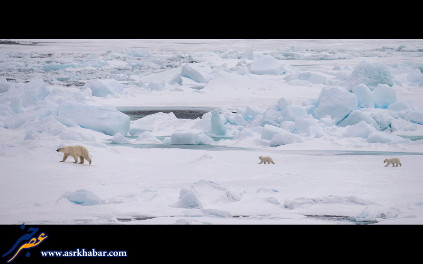 زندگی یک خانواده متفاوت در قطب (عکس)