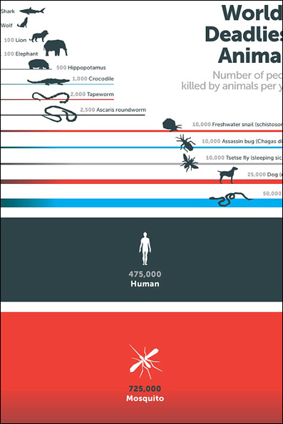 قاتل ترین موجودات زمین را بهتر بشناسید