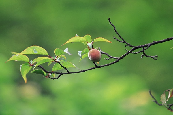 این تصاویر زیبا را ببینید!