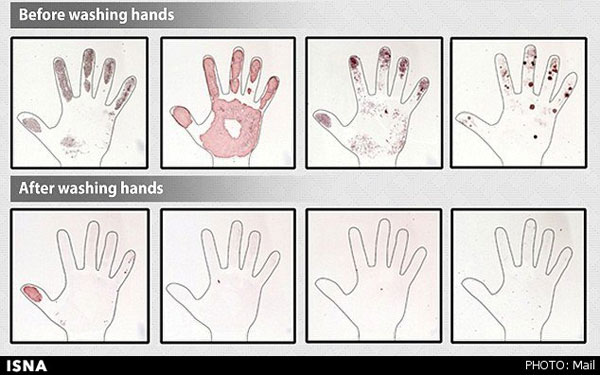 میکروب‌های نامرئی دستان (+عکس)