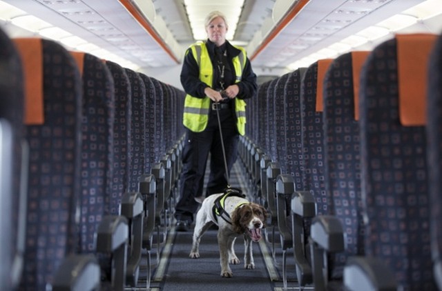 دیدنی های امروز