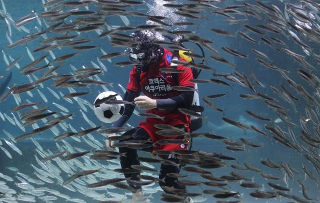 دیدنی های امروز