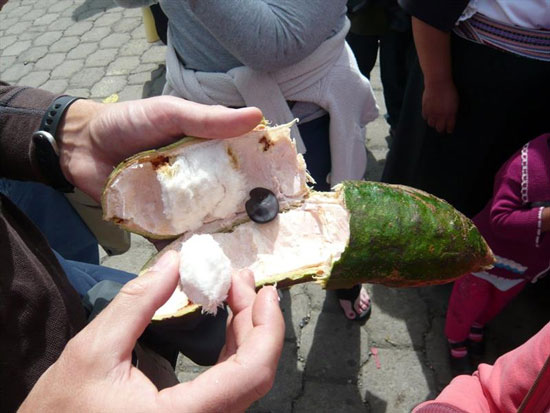 تا به حال باقلا بستنی خوردید؟! (عکس)