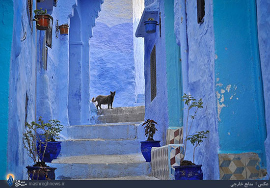 آبی‌ترین شهر جهان (عکس)