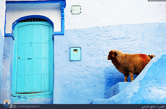 آبی‌ترین شهر جهان (عکس)