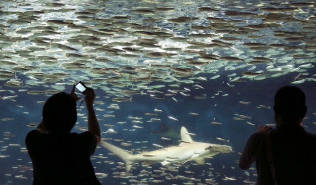 دیدنی های امروز دیدنی های امروز