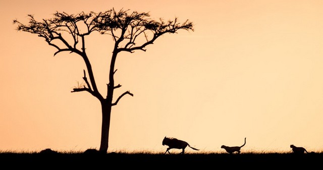 دیدنی های امروز دیدنی های امروز