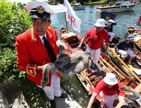 دیدنی های امروز