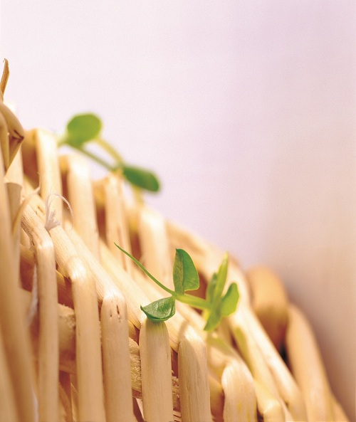 این تصاویر زیبا را ببینید!