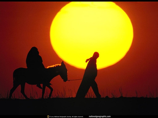 مناظر فوق العاده(عکس)