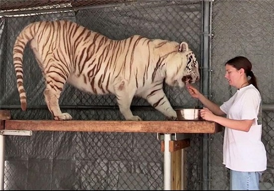 کار خطرناک این زن بعد از ترک شغلش! (+عکس)