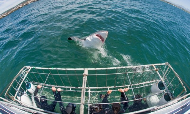 دیدنی های امروز دیدنی های امروز