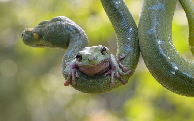 دیدنی های امروز دیدنی های امروز