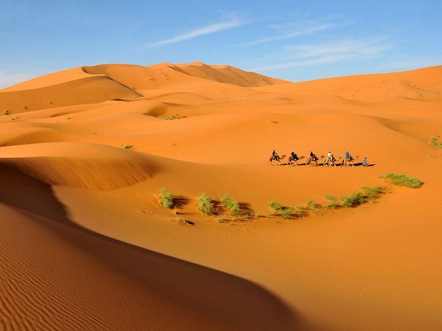 دیدنی های امروز