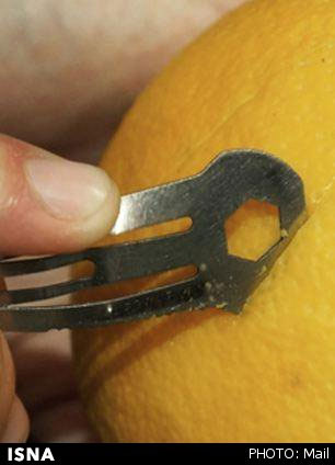 جعبه‌ ابزاری در موی شما! (+عکس)