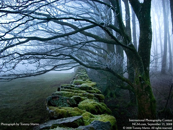 این تصاویر زیبا را ببینید!