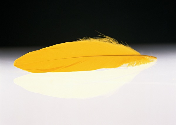 این تصاویر زیبا را ببینید!