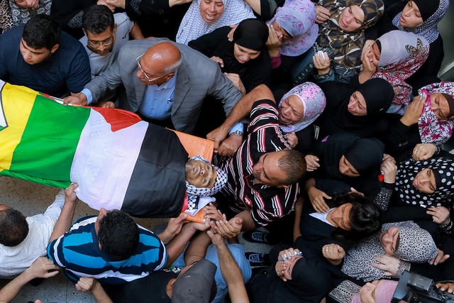 دیدنی های امروز