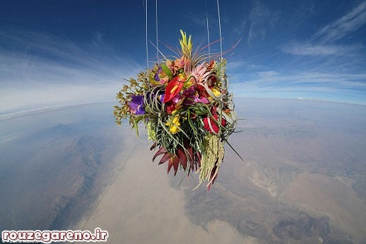 اقدام جالب فرستادن گُل به فضا (+عکس)