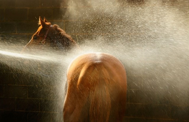 دیدنی های امروز