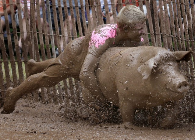 دیدنی های امروز