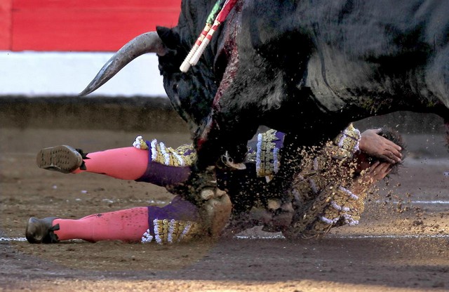 دیدنی های امروز