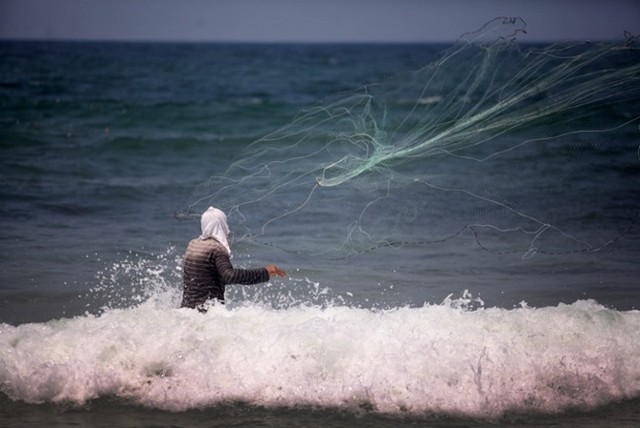 دیدنی های امروز