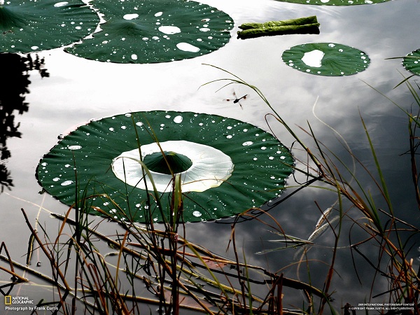 مناظر دیدنی(عکس)