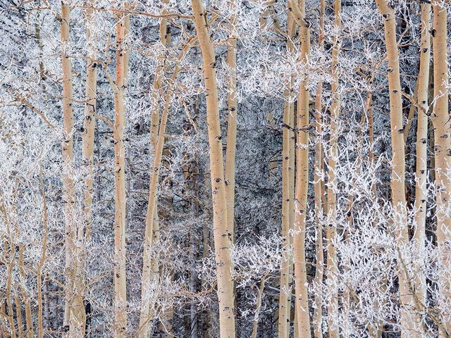 دیدنی های امروز دیدنی های امروز