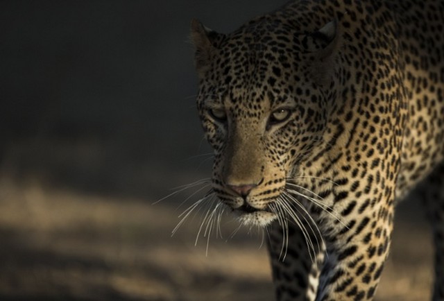 دیدنی های امروز دیدنی های امروز