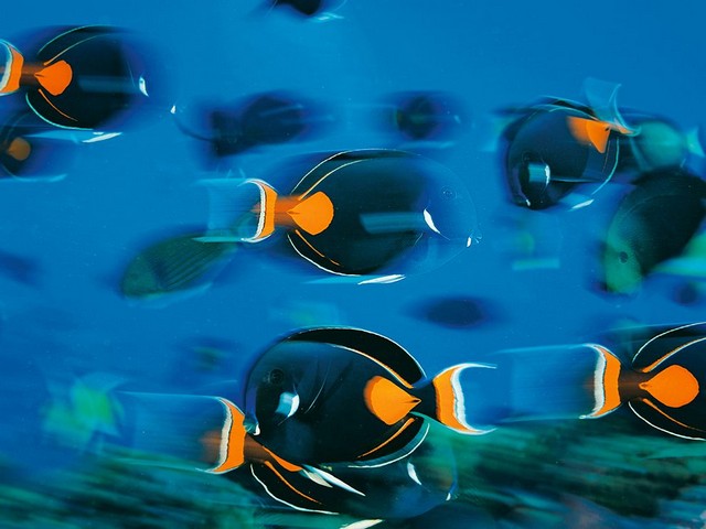 دیدنی های امروز دیدنی های امروز