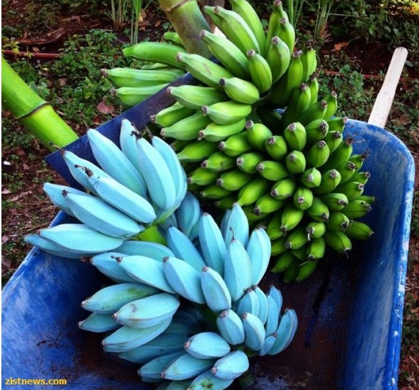 دیدنی و بدون شرح!(عکس)