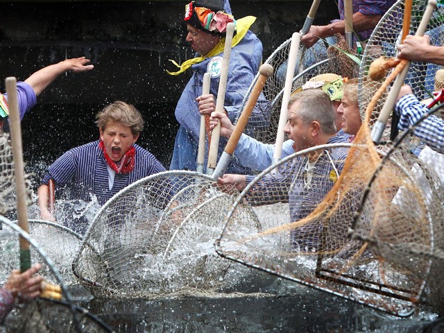 دیدنی های امروز