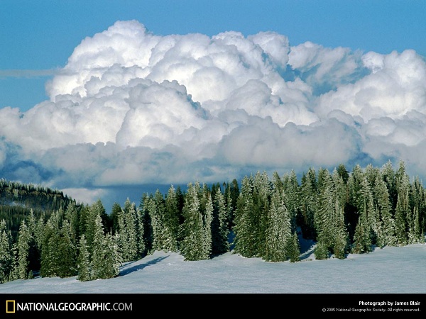 مناظر فوق العاده(عکس)