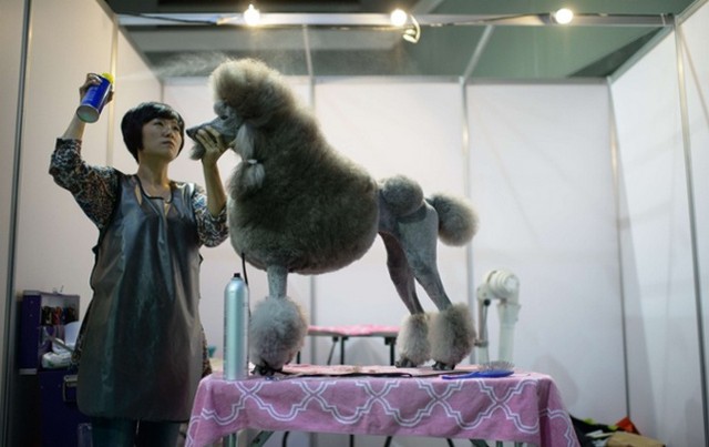 دیدنی های امروز دیدنی های امروز